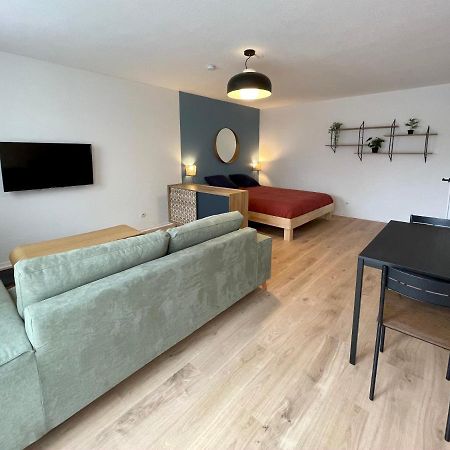 Grand Studio Joli Coeur - Calme Cosy Lumineux + Parking Appartement Nancy Buitenkant foto