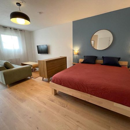 Grand Studio Joli Coeur - Calme Cosy Lumineux + Parking Appartement Nancy Buitenkant foto
