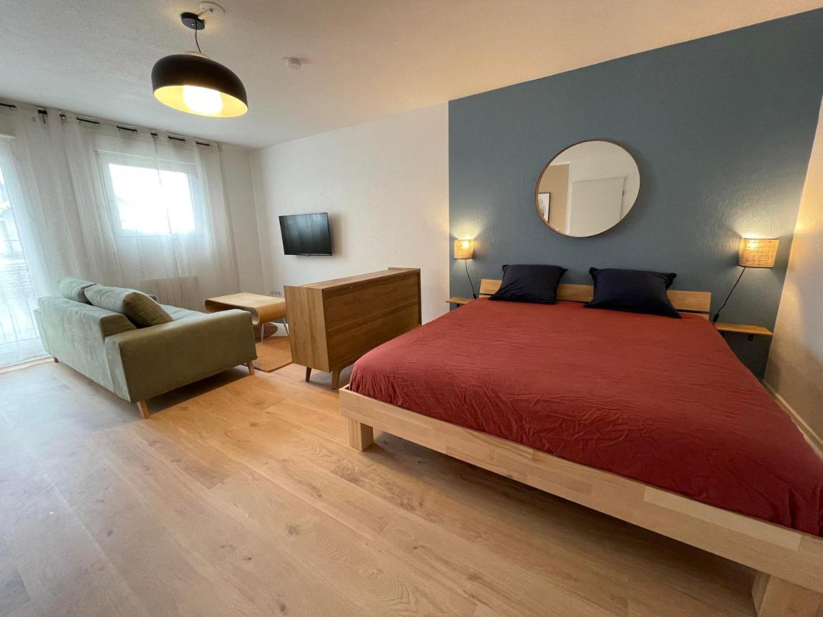 Grand Studio Joli Coeur - Calme Cosy Lumineux + Parking Appartement Nancy Buitenkant foto