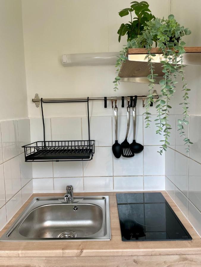 Grand Studio Joli Coeur - Calme Cosy Lumineux + Parking Appartement Nancy Buitenkant foto